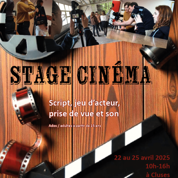 affiche stage ciné AES